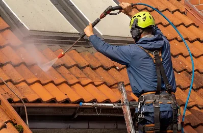 Démoussage et hydrofuge de toiture à Balignac
